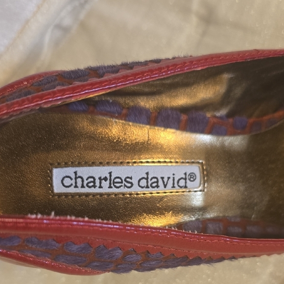Charles David Red and Purple Heels Elegant Design - Picture 2 of 12